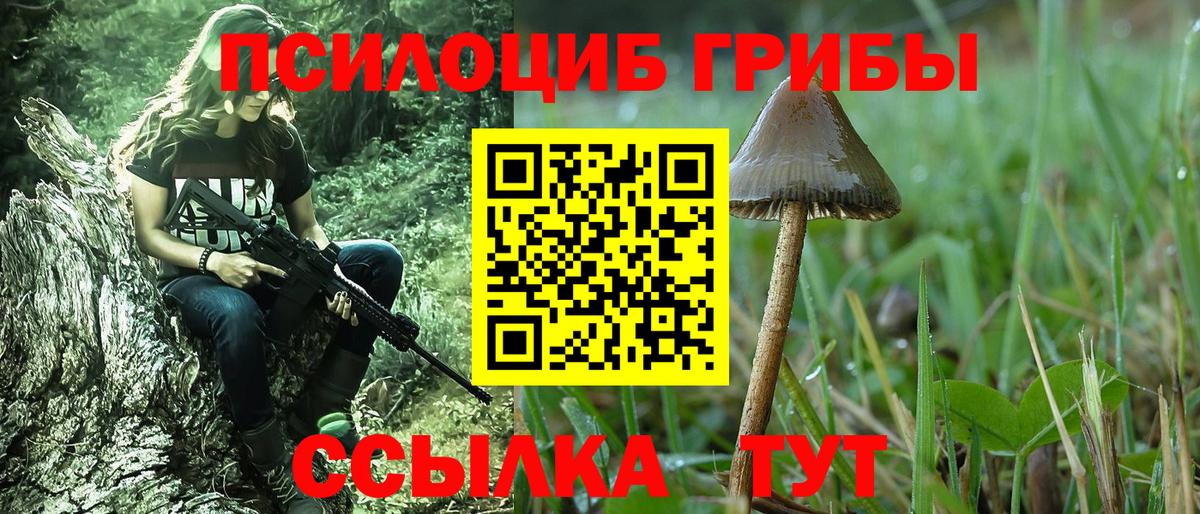 Псилоцибиновые грибы Psilocybine cubensis Одинцово