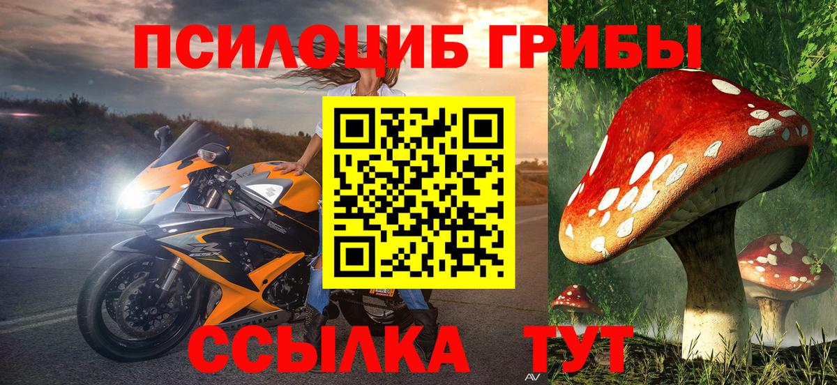 Одинцово  Псилоцибиновые грибы ЛСД  Галлюциногенные грибы Psilocybe  Вход с VPN 